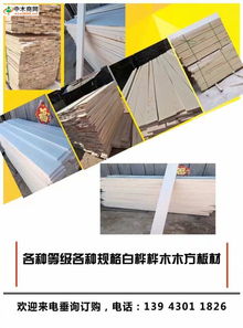 木材加工全攻略 产品、价格、厂家与最新资讯尽在中木商网