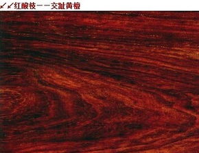 中木商网 一站式木材资讯平台，助您轻松采购优质木材