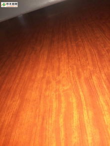 山东省临沂市宏科木业厂家直销 中木商网一站式木材批发指南